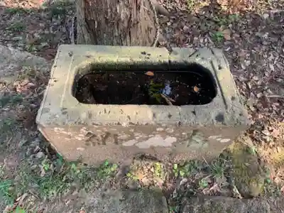 春日神社の手水舎