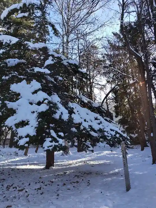 東川神社の自然