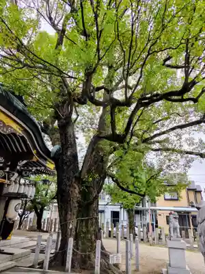 石津神社(大阪府)