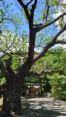 相馬神社のその他建物
