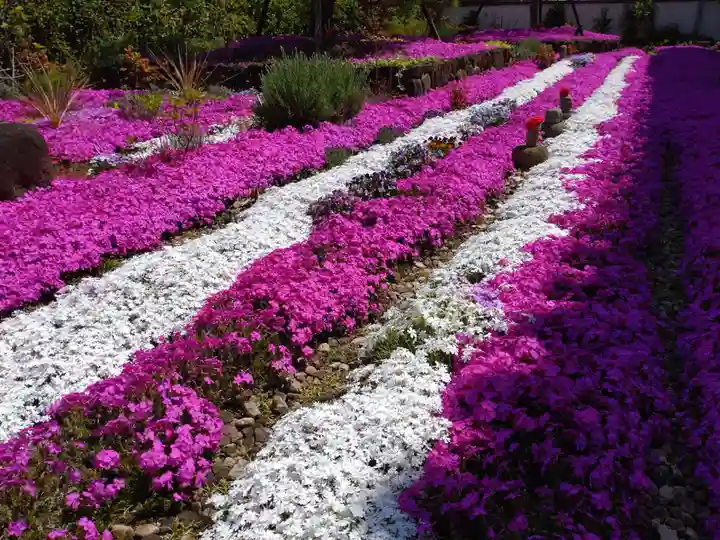 寿量山 速成寺(奈良県)
