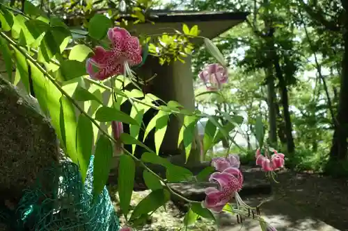 四條畷神社の自然