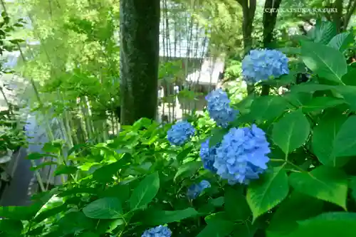 長谷寺の景色