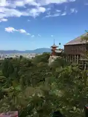 清水寺の自然