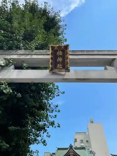 柏神社の鳥居