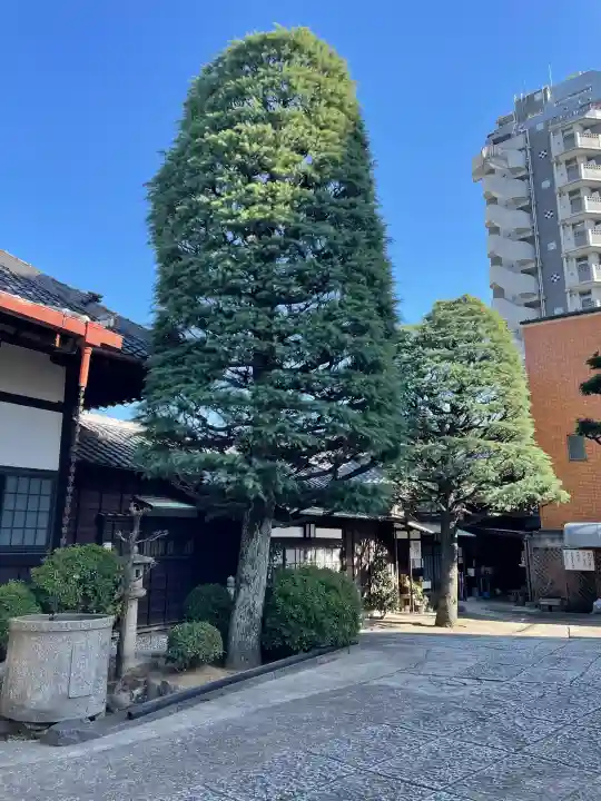 浩妙寺の{uncategorized: "未分類", other: "その他", undefined: "問題あり", building: "その他建物", grave: "お墓", sacred_gate: "鳥居", guardian: "狛犬", statue: "像", buddha: "仏像", history: "歴史", nature: "自然", garden: "庭園", animal: "動物", pagoda: "塔", temizu: "手水舎", mountain_gate: "山門・神門", sanctuary: "本殿・本堂", subordinate: "末社・摂社", art: "芸術", scenery: "景色", jizo: "地蔵", ema: "絵馬", goshuin: "御朱印", omikuji: "おみくじ", items: "授与品その他", amulet: "お守り", goshuincho: "御朱印帳", eats: "食事", festival: "お祭り", votive_dance: "神楽", shichigosan: "七五三参", wedding: "結婚式", experience: "体験その他", initially: "初詣", around: "周辺", anti_infection: "感染症対策"}