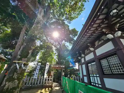 川越八幡宮(埼玉県)