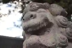 坂戸神社の狛犬