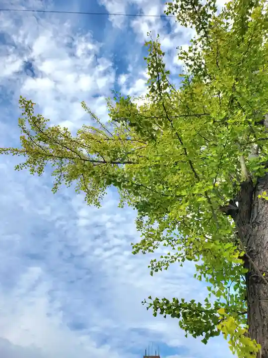 阿邪訶根神社(福島県)