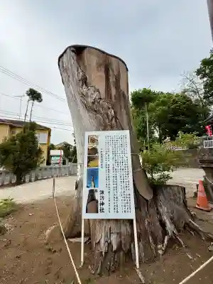 諏訪神社の{uncategorized: "未分類", other: "その他", undefined: "問題あり", building: "その他建物", grave: "お墓", sacred_gate: "鳥居", guardian: "狛犬", statue: "像", buddha: "仏像", history: "歴史", nature: "自然", garden: "庭園", animal: "動物", pagoda: "塔", temizu: "手水舎", mountain_gate: "山門・神門", sanctuary: "本殿・本堂", subordinate: "末社・摂社", art: "芸術", scenery: "景色", jizo: "地蔵", ema: "絵馬", goshuin: "御朱印", omikuji: "おみくじ", items: "授与品その他", amulet: "お守り", goshuincho: "御朱印帳", eats: "食事", festival: "お祭り", votive_dance: "神楽", shichigosan: "七五三参", wedding: "結婚式", experience: "体験その他", initially: "初詣", around: "周辺", anti_infection: "感染症対策"}