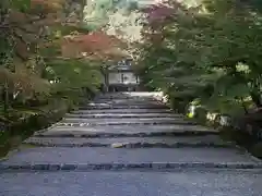 二尊院の建物その他