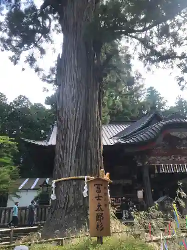 北口本宮冨士浅間神社の自然