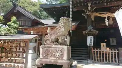 曾屋神社の狛犬