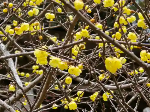播州清水寺(兵庫県)