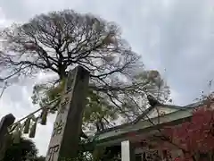 稗田神社の建物その他