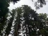 大宮温泉神社(栃木県)