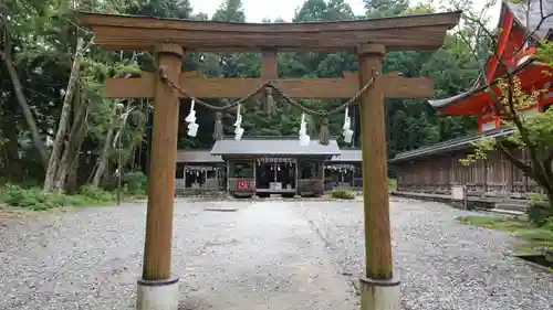 土佐神社(高知県)