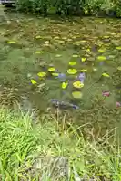 根道神社(岐阜県)