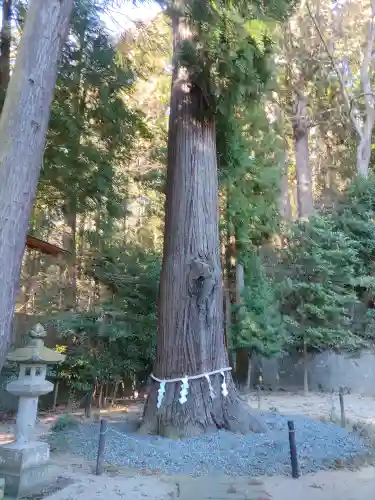 鹿嶋神社(福島県)