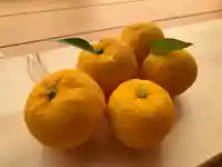 滑川神社 - 仕事と子どもの守り神(福島県)