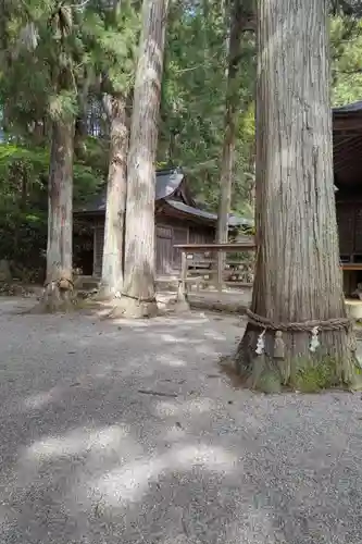 日枝神社(岐阜県)