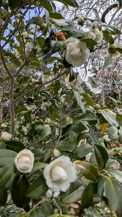 惠心院(京都府)