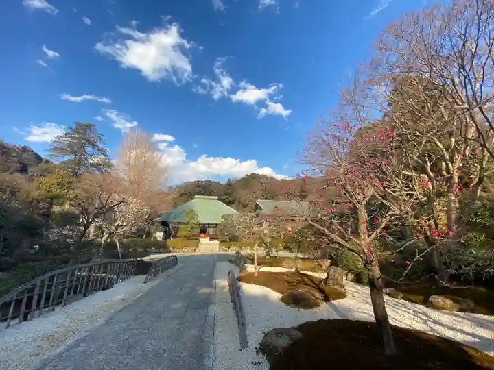 浄妙寺(神奈川県)