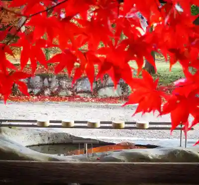 中山神社の手水舎