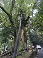 都萬神社(宮崎県)