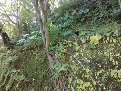 長谷寺(神奈川県)