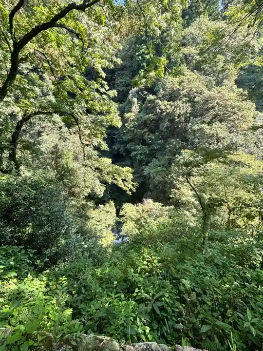 天岩戸神社(宮崎県)