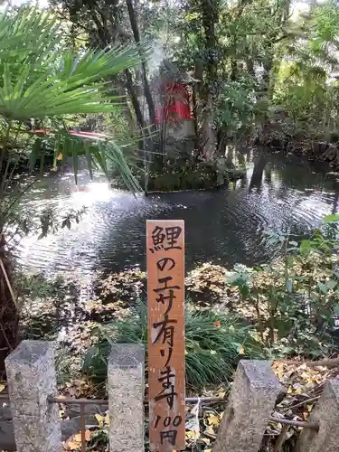 闇之森八幡社の庭園