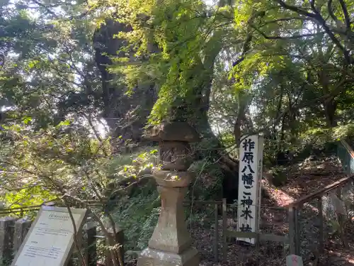 柞原八幡宮(大分県)