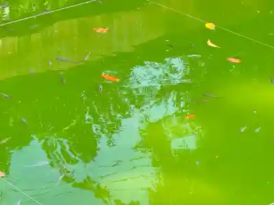 神炊館神社 ⁂奥州須賀川総鎮守⁂(福島県)