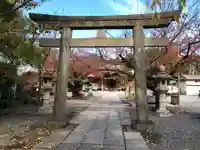 日枝神社の鳥居