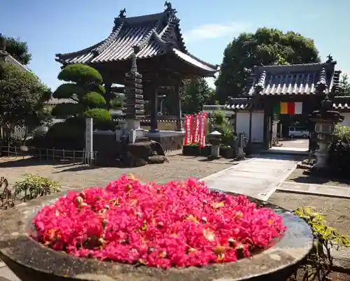 真言宗　善通寺派　薬王寺の手水