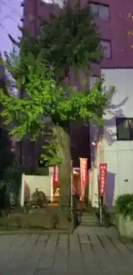 入一地蔵菩薩•入一観音菩薩の自然