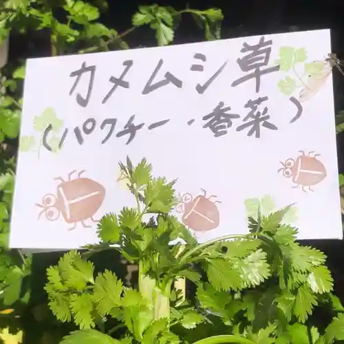 高司神社〜むすびの神の鎮まる社〜(福島県)