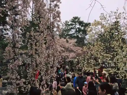 氷室神社のその他建物