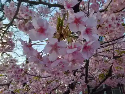 龍王院(東京都)
