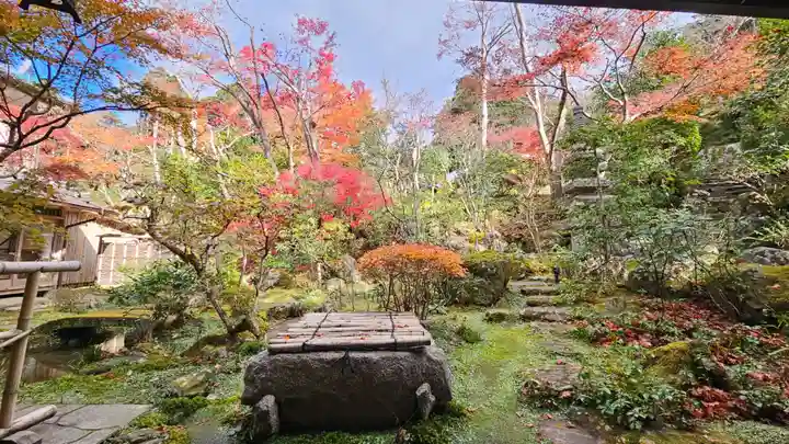 宝泉院(京都府)