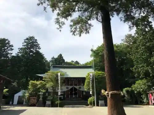 比々多神社の{uncategorized: "未分類", other: "その他", undefined: "問題あり", building: "その他建物", grave: "お墓", sacred_gate: "鳥居", guardian: "狛犬", statue: "像", buddha: "仏像", history: "歴史", nature: "自然", garden: "庭園", animal: "動物", pagoda: "塔", temizu: "手水舎", mountain_gate: "山門・神門", sanctuary: "本殿・本堂", subordinate: "末社・摂社", art: "芸術", scenery: "景色", jizo: "地蔵", ema: "絵馬", goshuin: "御朱印", omikuji: "おみくじ", items: "授与品その他", amulet: "お守り", goshuincho: "御朱印帳", eats: "食事", festival: "お祭り", votive_dance: "神楽", shichigosan: "七五三参", wedding: "結婚式", experience: "体験その他", initially: "初詣", around: "周辺", anti_infection: "感染症対策"}