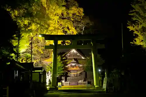 玉敷神社(埼玉県)