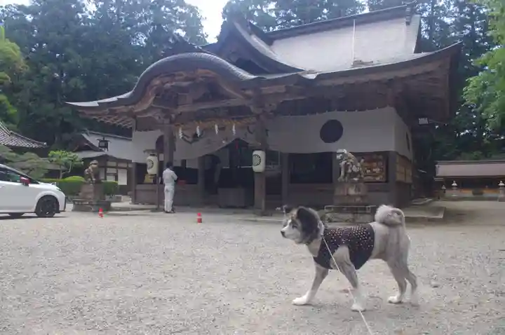 伊和神社の本殿・本堂