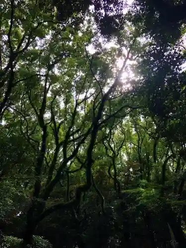 熱田神宮の自然