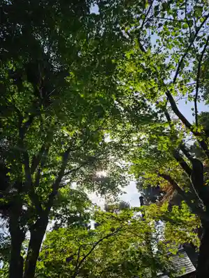 恵隆寺(立木千手観音)(福島県)