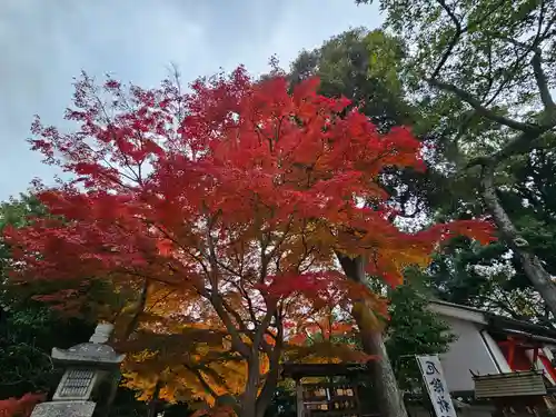 南都鏡神社(奈良県)