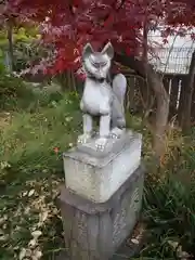 東山稲荷神社の狛犬