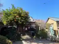 佛心寺(東京都)