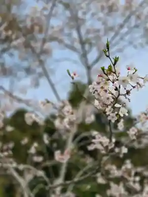母智丘神社の{uncategorized: "未分類", other: "その他", undefined: "問題あり", building: "その他建物", grave: "お墓", sacred_gate: "鳥居", guardian: "狛犬", statue: "像", buddha: "仏像", history: "歴史", nature: "自然", garden: "庭園", animal: "動物", pagoda: "塔", temizu: "手水舎", mountain_gate: "山門・神門", sanctuary: "本殿・本堂", subordinate: "末社・摂社", art: "芸術", scenery: "景色", jizo: "地蔵", ema: "絵馬", goshuin: "御朱印", omikuji: "おみくじ", items: "授与品その他", amulet: "お守り", goshuincho: "御朱印帳", eats: "食事", festival: "お祭り", votive_dance: "神楽", shichigosan: "七五三参", wedding: "結婚式", experience: "体験その他", initially: "初詣", around: "周辺", anti_infection: "感染症対策"}